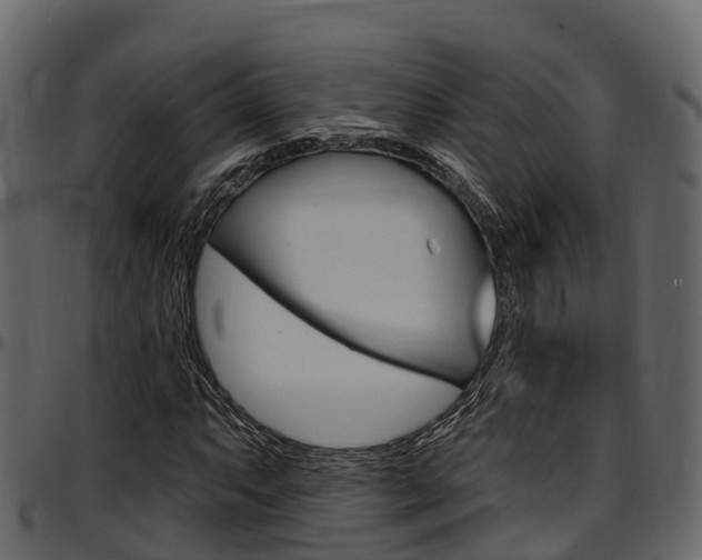 X0000097611063200802290751