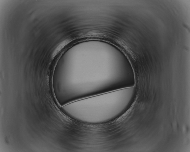 X0000097611066200802290751