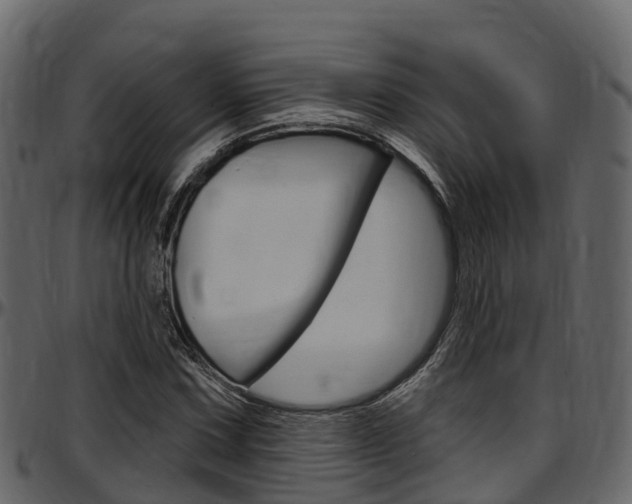 X0000097611067200802290750