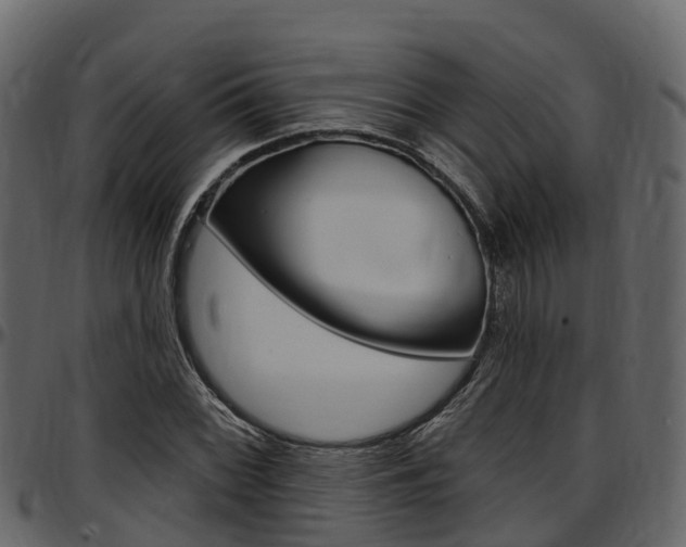 X0000097611068200802290750