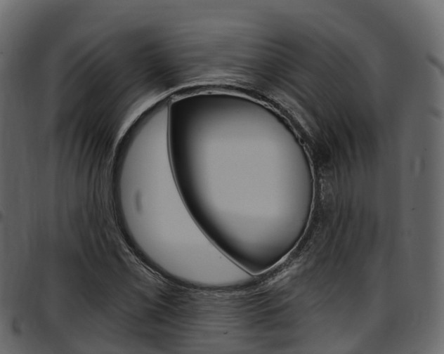 X0000097611069200802290750