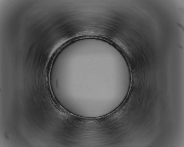 X0000097611070200802290750