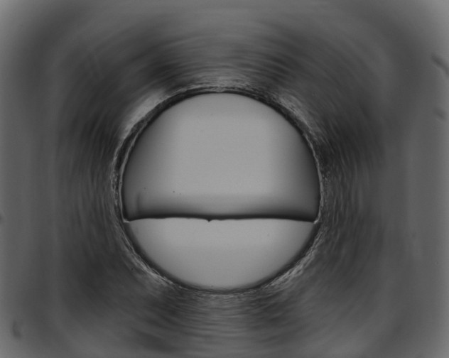 X0000097611071200802290750