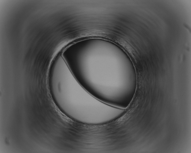 X0000097611072200802290750