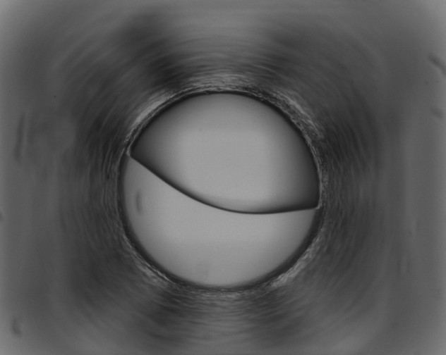 X0000097611073200802290750