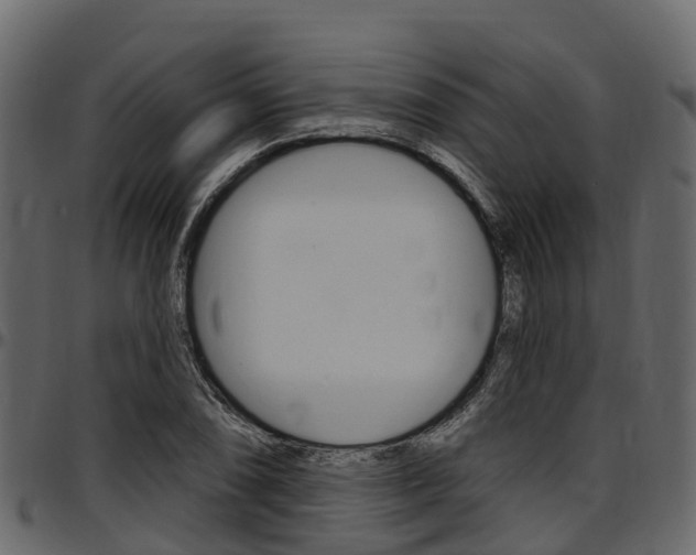 X0000097611074200802290750
