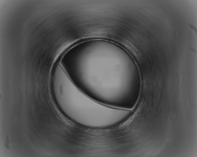 X0000097611077200802290750