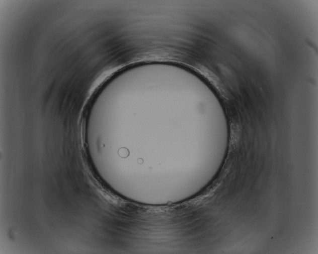 X0000097611078200802290750