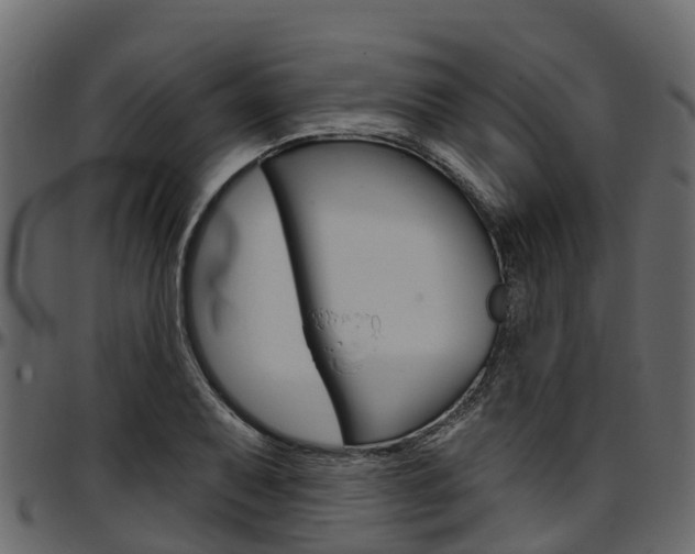 X0000097611079200802290750