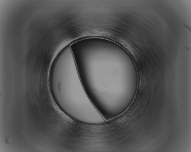 X0000097611080200802290750