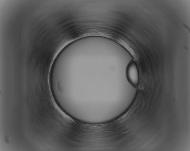 X0000097611084200802290750