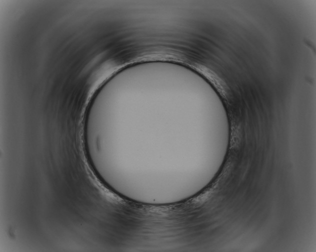 X0000097611086200802290750