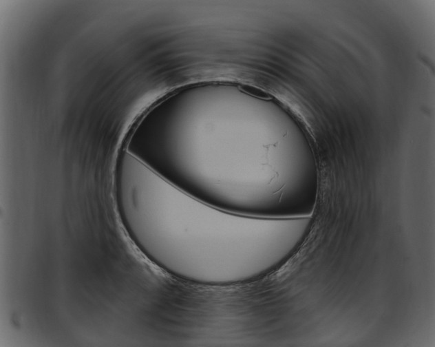 X0000097611088200802290750