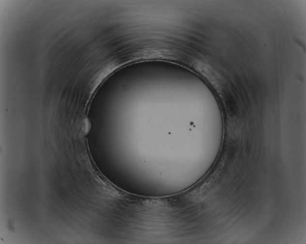 X0000097611089200802290750