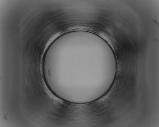 X0000097611090200802290750