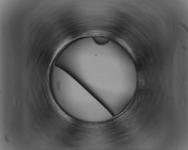 X0000097611091200802290750
