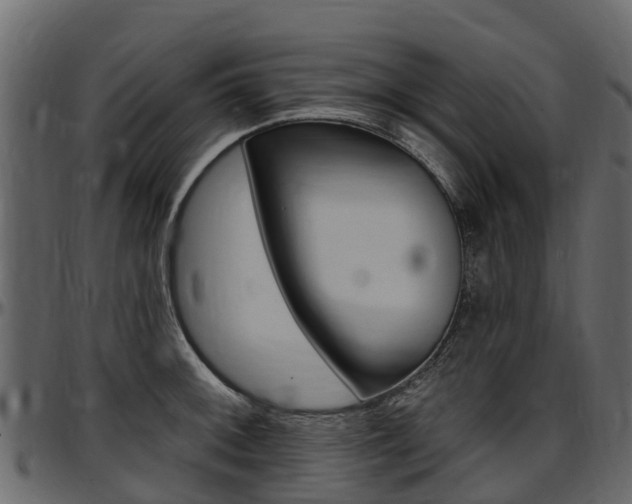 X0000097611092200802290750