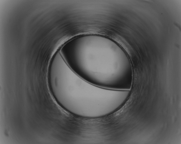 X0000097611093200802290750