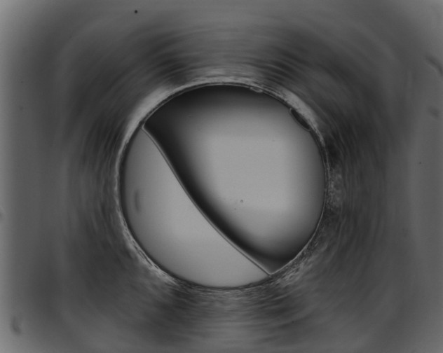 X0000097611096200802290750