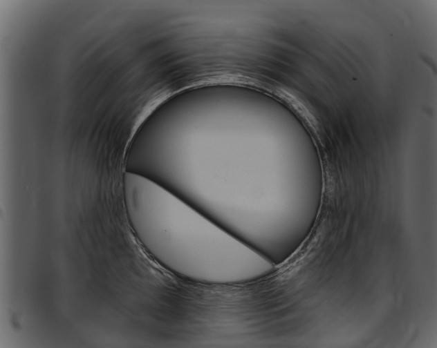 X0000097611097200802290750