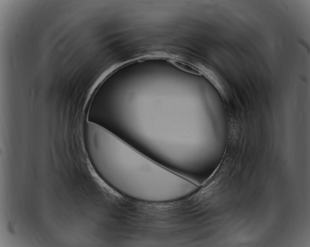 X0000097611100200802290750