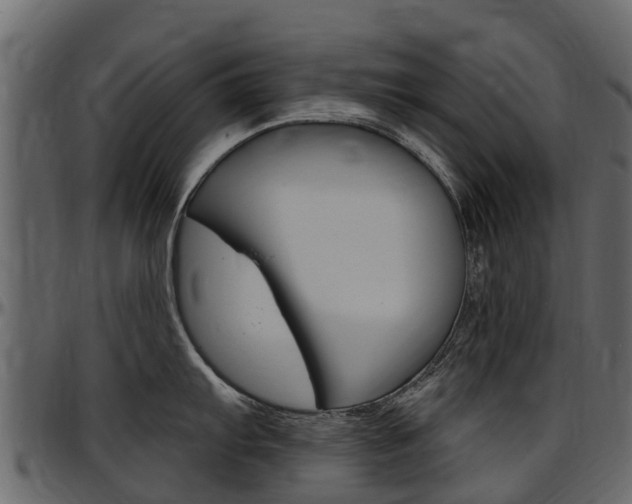 X0000097611103200802290750