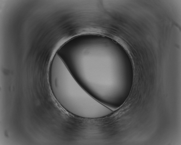 X0000097611104200802290750