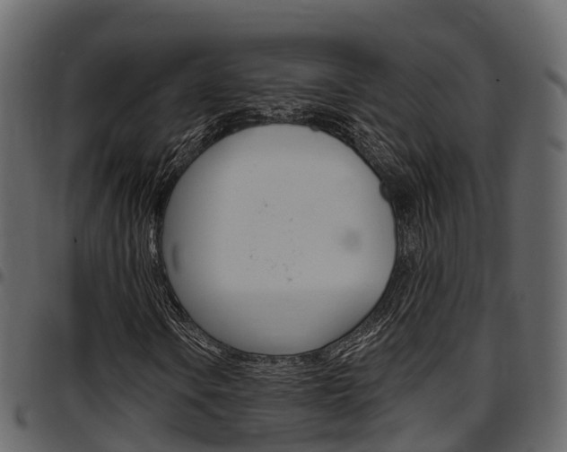 X0000097611106200802290749