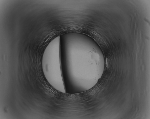 X0000097611107200802290749