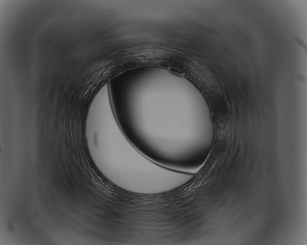 X0000097611108200802290749