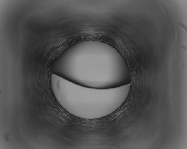 X0000097611109200802290749