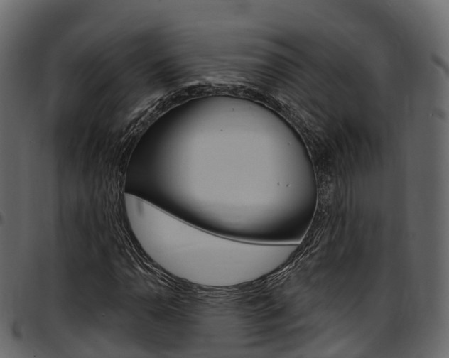 X0000097611110200802290749