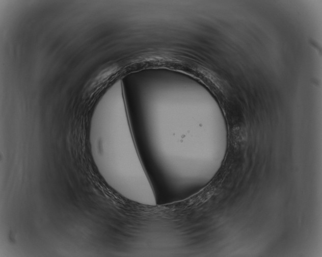 X0000097611111200802290749