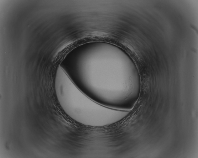 X0000097611112200802290749