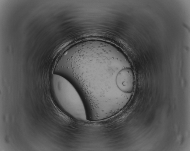 X0000097611113200802290749