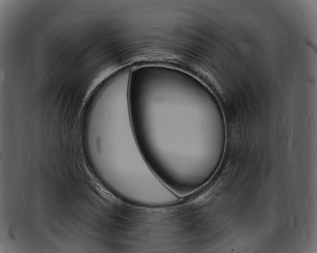 X0000097611114200802290749