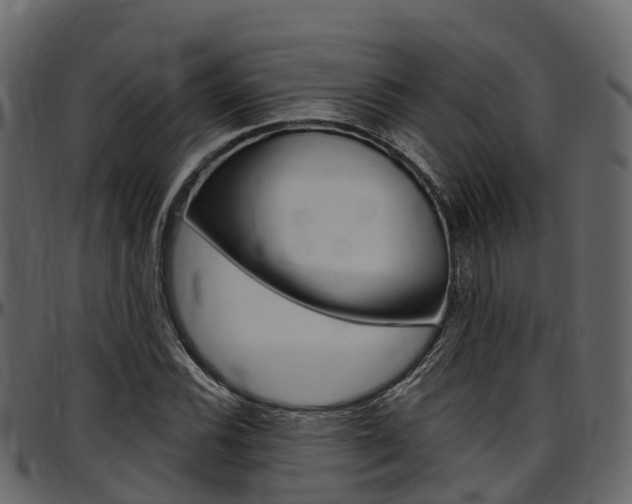 X0000097611116200802290749