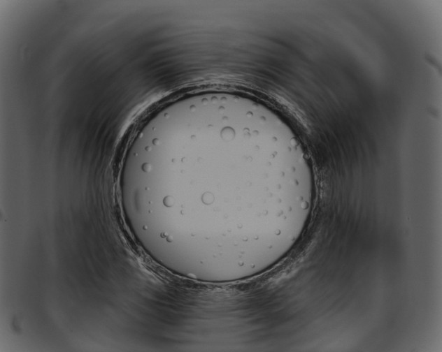 X0000097611117200802290749
