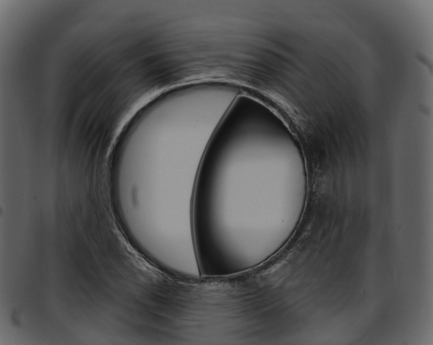 X0000097611118200802290749