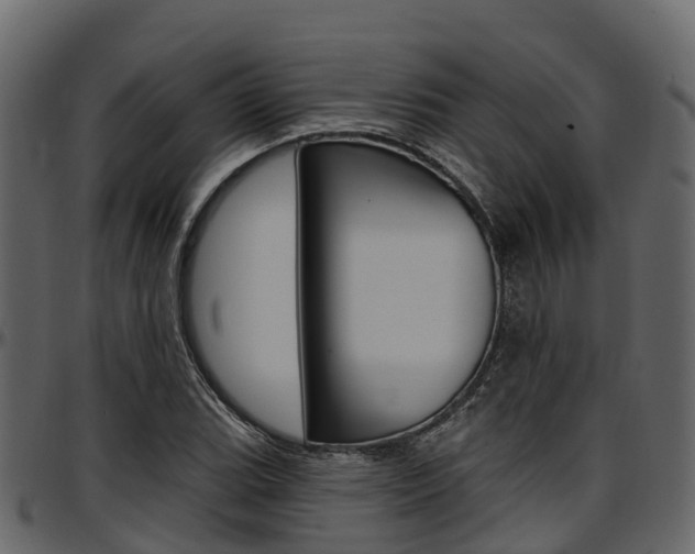 X0000097611119200802290749