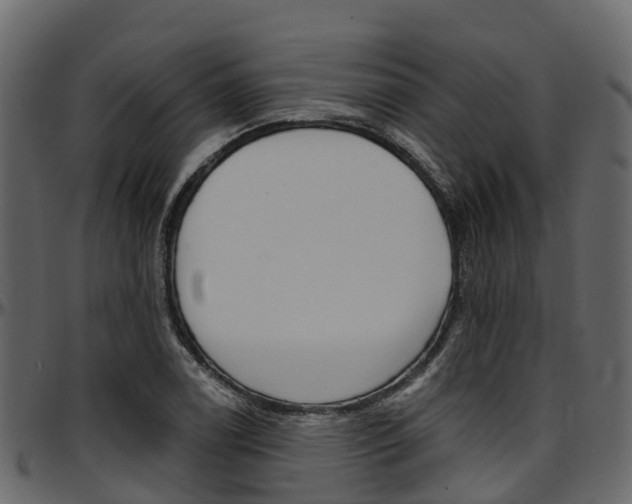 X0000097611122200802290749