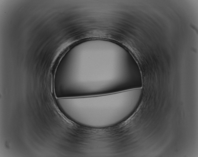 X0000097611123200802290749
