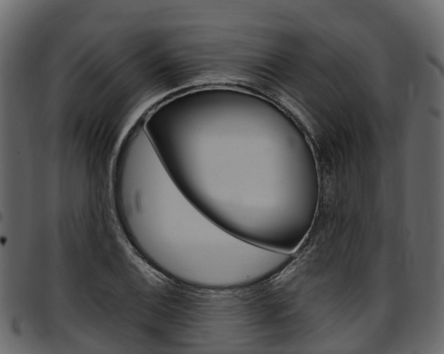 X0000097611124200802290750