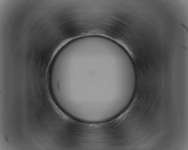 X0000097611126200802290750