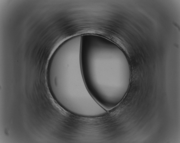 X0000097611132200802290750