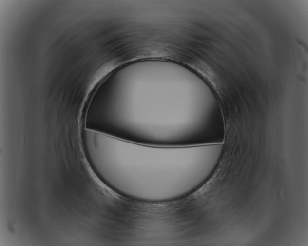 X0000097611135200802290750