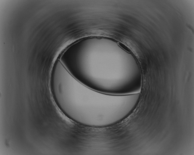 X0000097611136200802290750