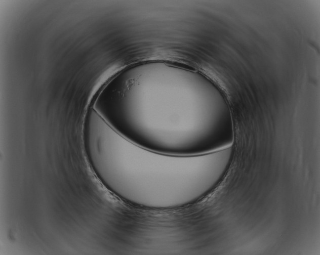 X0000097611138200802290750