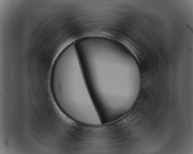 X0000097611139200802290750