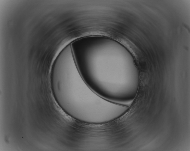 X0000097611140200802290750